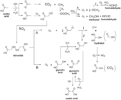 Acetic Acid With Oh Radicals