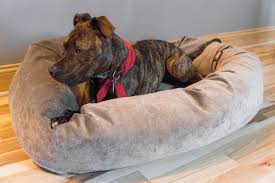 the best dog beds reviews by wirecutter