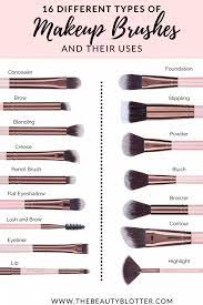 the complete list of makeup brushes and