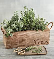 Herb Garden Boxes