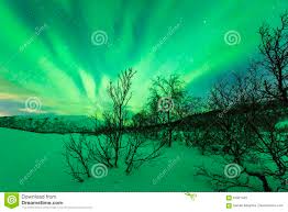 Northern Lights Above Trees In A Winter Landscape Stock