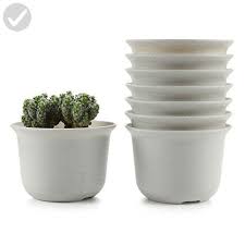 Succulent Plant Pot