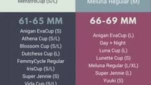 Elegant Menstrual Cup Comparison Chart Facebook Lay Chart