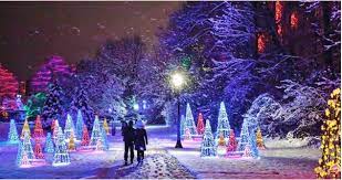 niagara falls winter festival of lights