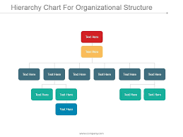 Hierarchy Chart For Organizational Structure Ppt Inspiration
