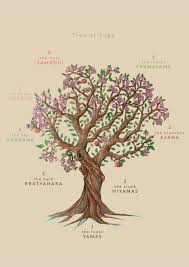 18 the tree of yoga