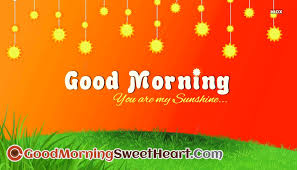 Let the sunshine so bright and remove all the worries from your life. Good Morning Messages Sunshine