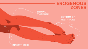 31 Erogenous Zones How To Touch Them A Chart For Men Women