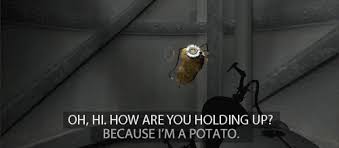 A potato flew around my room is a vine meme that became popular in late 2014. Fuggit Im Giving Portal 2 Another Run Gif On Imgur