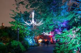 lightscape at brooklyn botanic garden