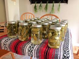 how to make crunchy dill pickles using