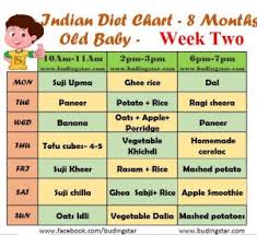 Diet Plan For 6 Month Old Baby