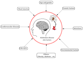 Molecules | Free Full-Text | Comprehensive Review on Alzheimer's Disease:  Causes and Treatment