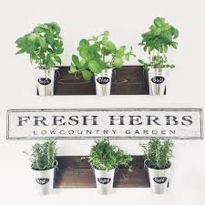 Indoor Wall Planter With Chalk Label