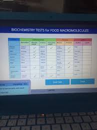 Solved Biochemistry Tests For Food Macromolecules Protein