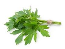 What herbs taste like celery?