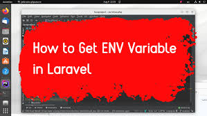 how to get env variable in laravel haait