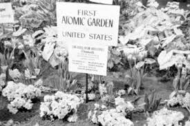 americans planted atomic gardens
