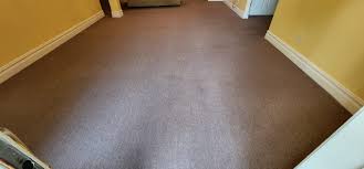carpet cleaning nyc your carpet will