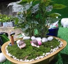 Miniature Fairy Garden