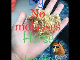 diy no moles horse treats you