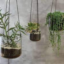 Clear Glass Hanging Planter Plant Pot