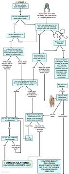 Flowchart Are You Good At Following Flowcharts Funny