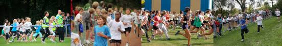 Afbeeldingsresultaat voor assenede veldloop 2016
