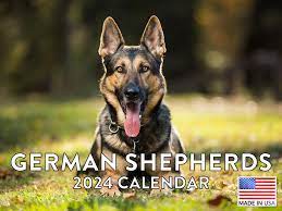 german shepherd calender shepard dog