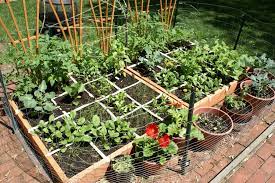 vegetable garden designs square foot
