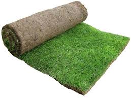 whole lawn gr supplier lawn