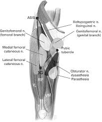 Adductor strains and osteitis pubis are the most common musculoskeletal causes of groin pain in athletes. The Groin Triangle A Patho Anatomical Approach To The Diagnosis Of Chronic Groin Pain In Athletes British Journal Of Sports Medicine