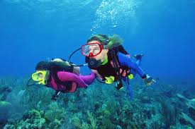 8 best dive centers in bali where to