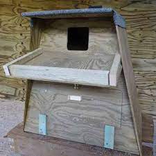 Barn Owl Box For Trees Outdoor