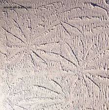 Crow 27s Foot Drywall Paint Texture