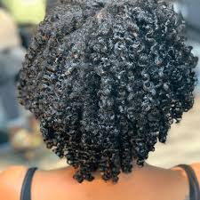 natural hair styles styles by lisa
