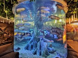 #1 asam pedas selera kampung. The Shore Oceanarium Tempat Wajib Singgah Di Melaka Kakitravel Net