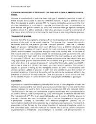 essay writing on dna replication army essay on leadership essay writing on dna replication