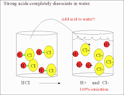 Do Strong Acids Completely Dissociate In Water Socratic