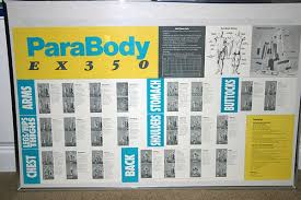 Parabody 350 Exercises Wall Chart Related Keywords