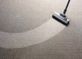 can carpet cleaning remove mold
