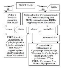 Clinical Patterns And Renal Survival Of Nephrotic Syndrome