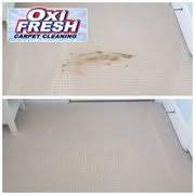 oxi fresh carpet cleaning 69 photos