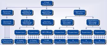 Organisational Structure Developing An Effective