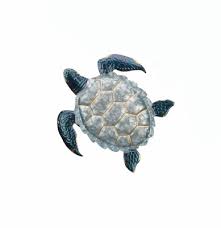 14 Galvanized And Blue Sea Turtle