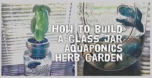 Glass Jar Aquaponics Herb Garden