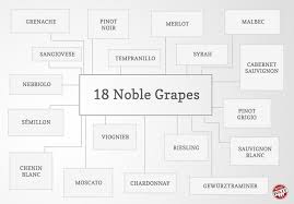 Defining 18 Noble Grapes To Expand Your Palate Wine Folly