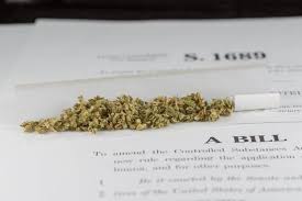 Senator Files 420 Marijuana Bill To Legalize It Federally
