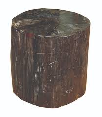 A Heavy Petrified Wood Side Table