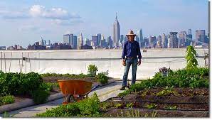 Brooklyn Grange A Rooftop Farm In New York